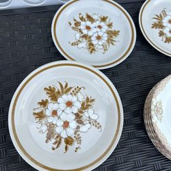 Dinner plate