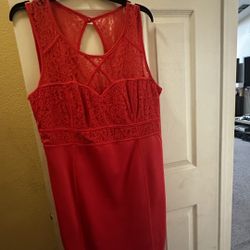 Thalia Sodi XL Pink Dress