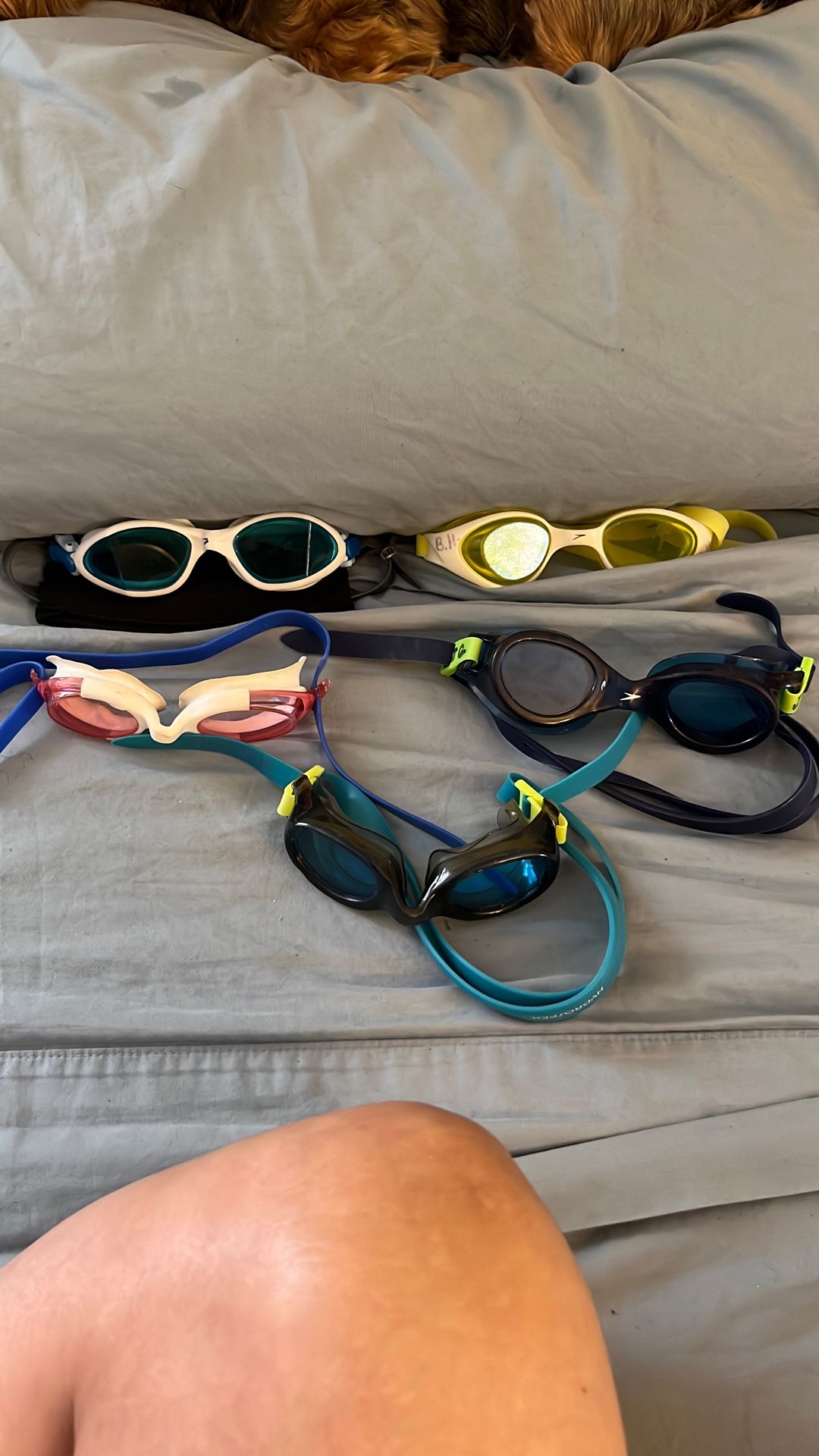 Speedos Goggles