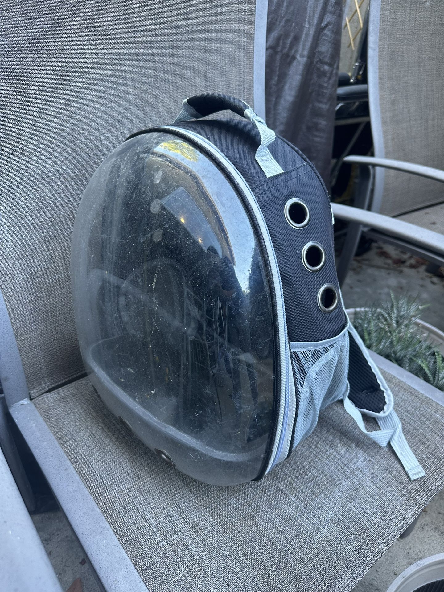 Free Backpack Cat Carrier