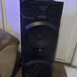 Max power Speaker 