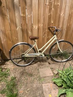 Schwinn baige