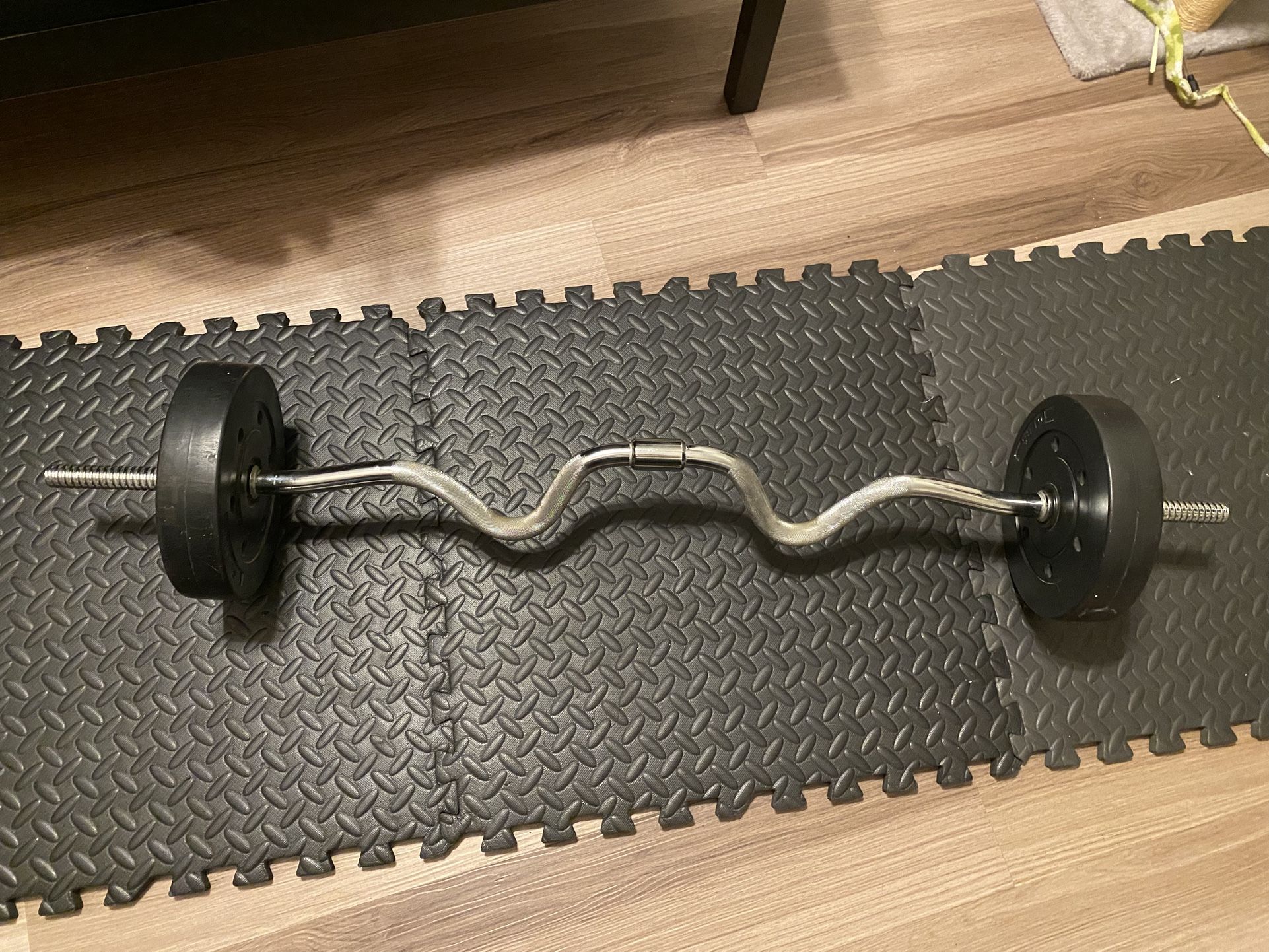 EZ Curl Bar & 10lb Weight Set