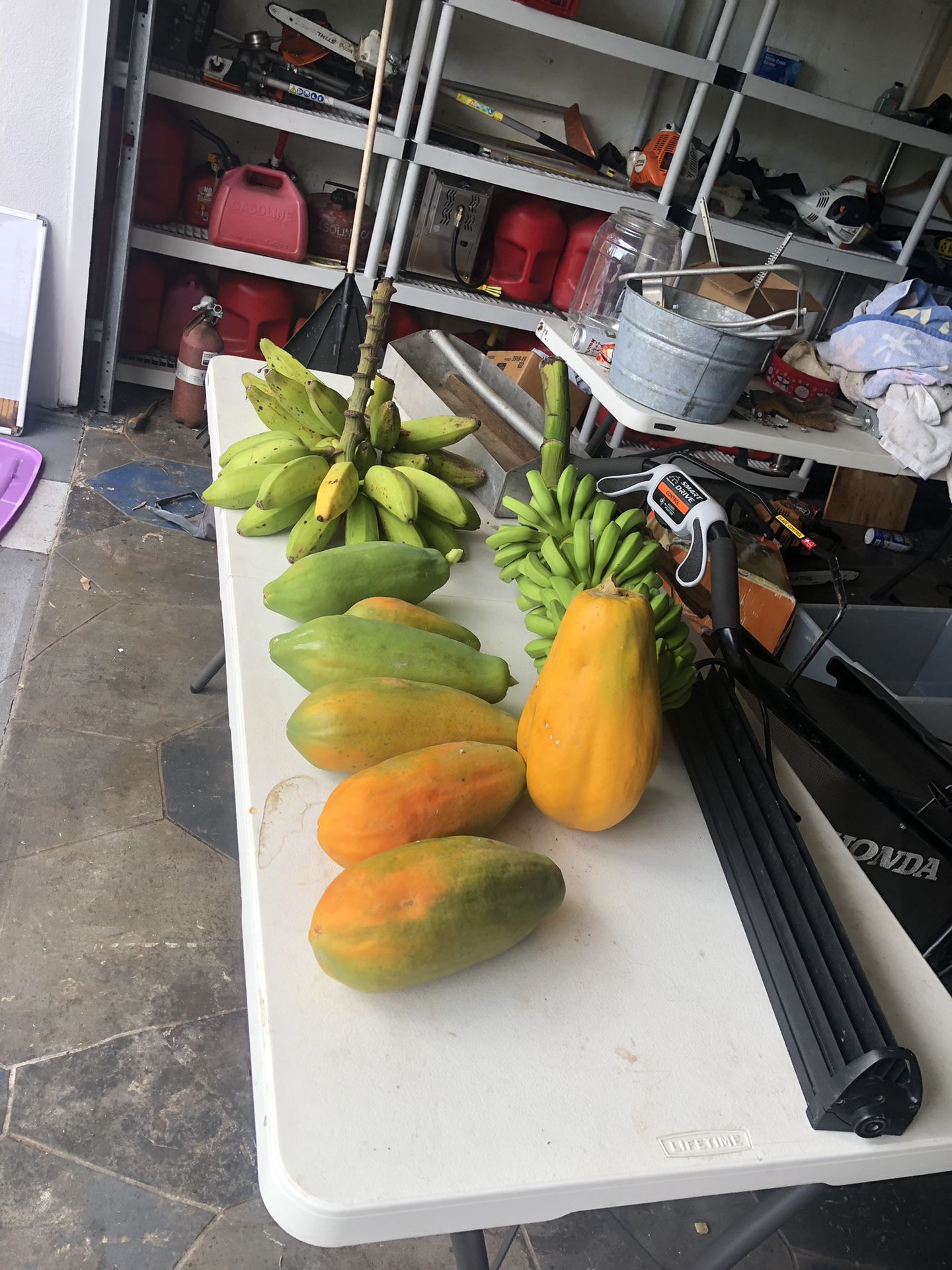 Papaya bananas for sale