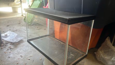12 gallon aquarium