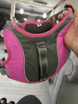 Medium Size Dog Harness