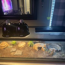 Critter Cage