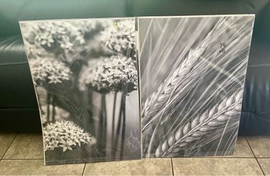 3 Posters. Wildomar 92595