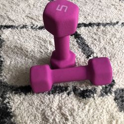 5 pound weights - set of two