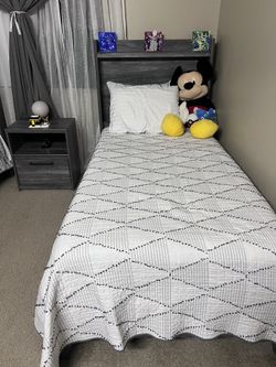 Bed Size Twin