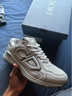 Dior B30 Grey
