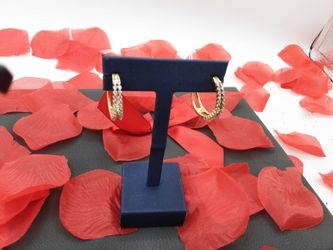 Hoop Earrings - Yellow Gold 10k (.417) 6.1 grams