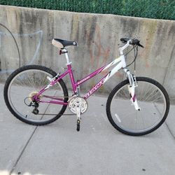 Giant Boulder 21 speed MTB 