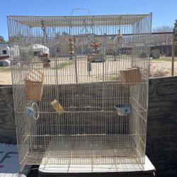 Bird Cage / Jaula