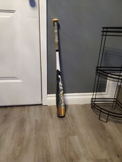 Baseball Bat