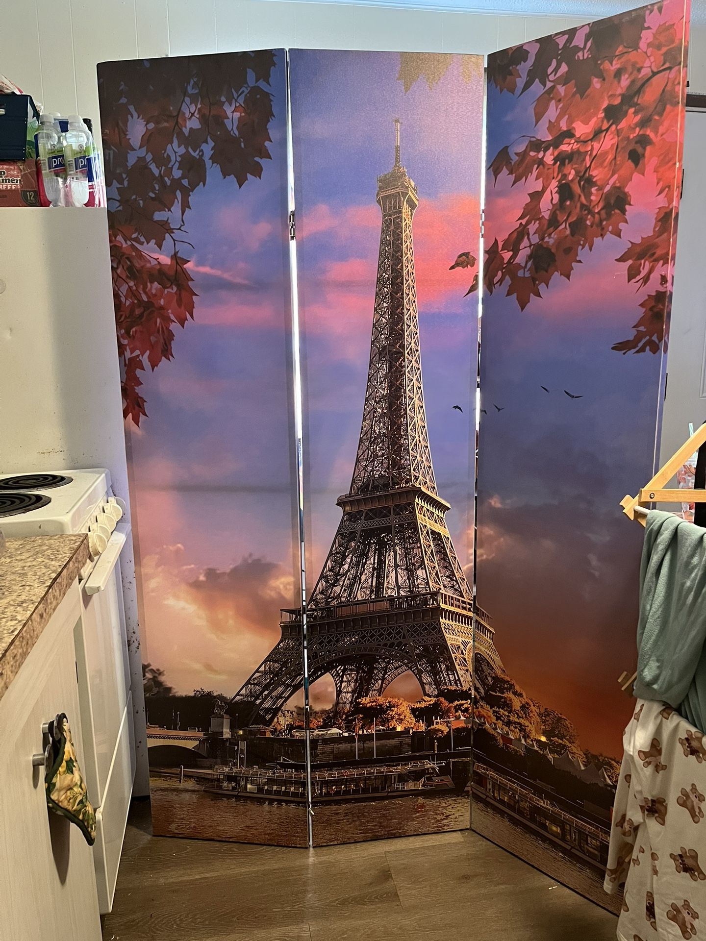 Light Up Room Divider