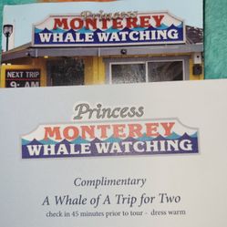 Whale Watching 