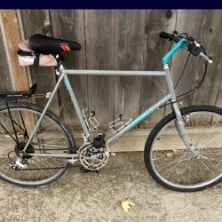 Trek Commuter Bike Tall Great Condition 