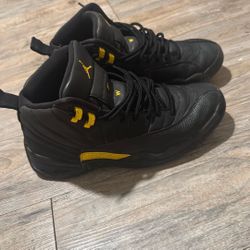 Jordan 12 Black Taxi 