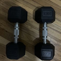 TWO 20 LB WEIGHTS 