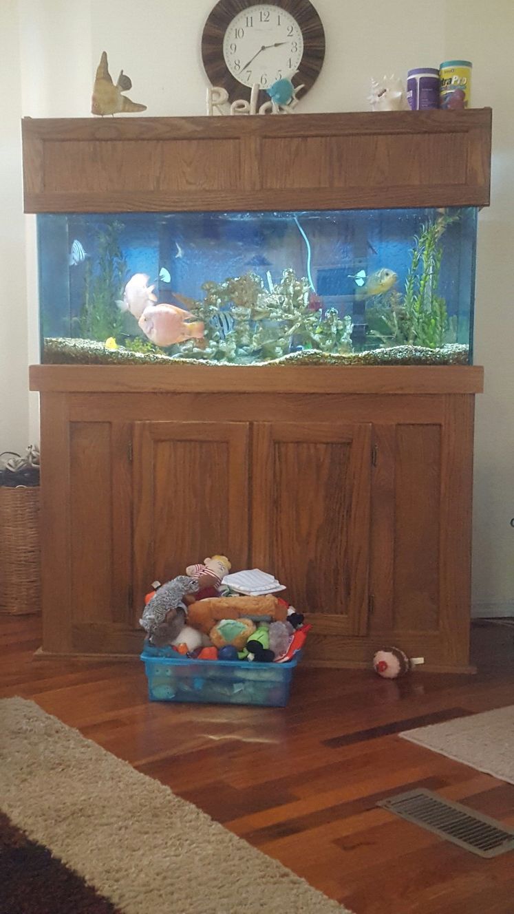 75 Gallon fish aquarium.