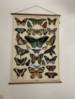 Butterfly Banner Large Decor