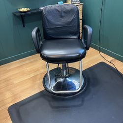 Salon Chair