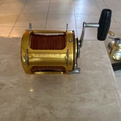 Penn International 80tw