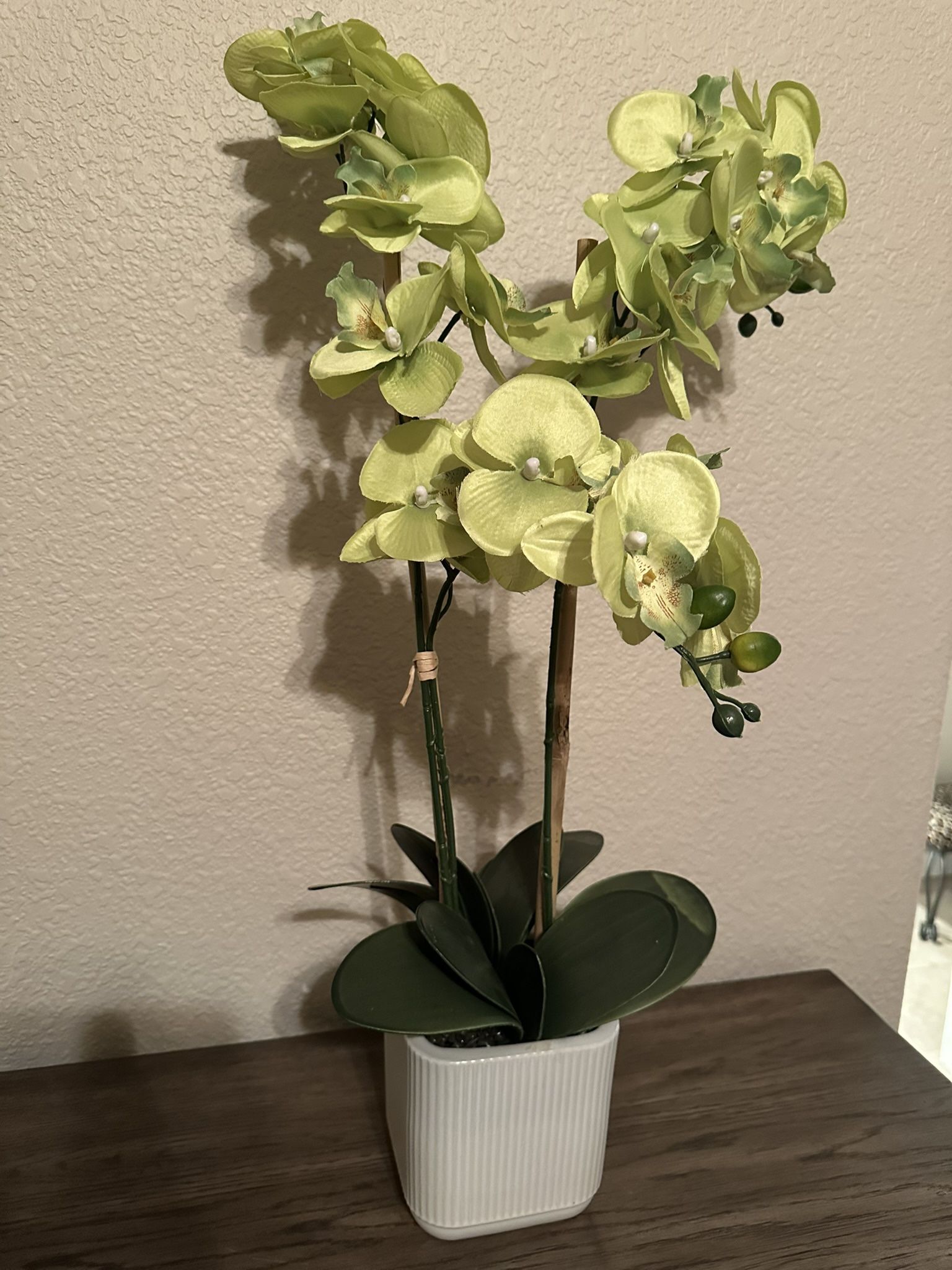 GREEN ORCHID FAKE PLANT (NEW)