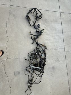 Crx Si Wiring Harness Complete