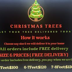 Christmas Trees🎄