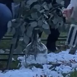 Clear Glass Growler Vases X8