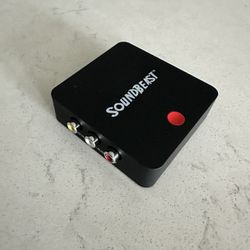 SoundBeast Video To Digital Converter