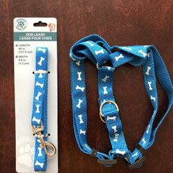 Dog leash and harness (medium)