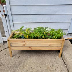 Planter Bed 