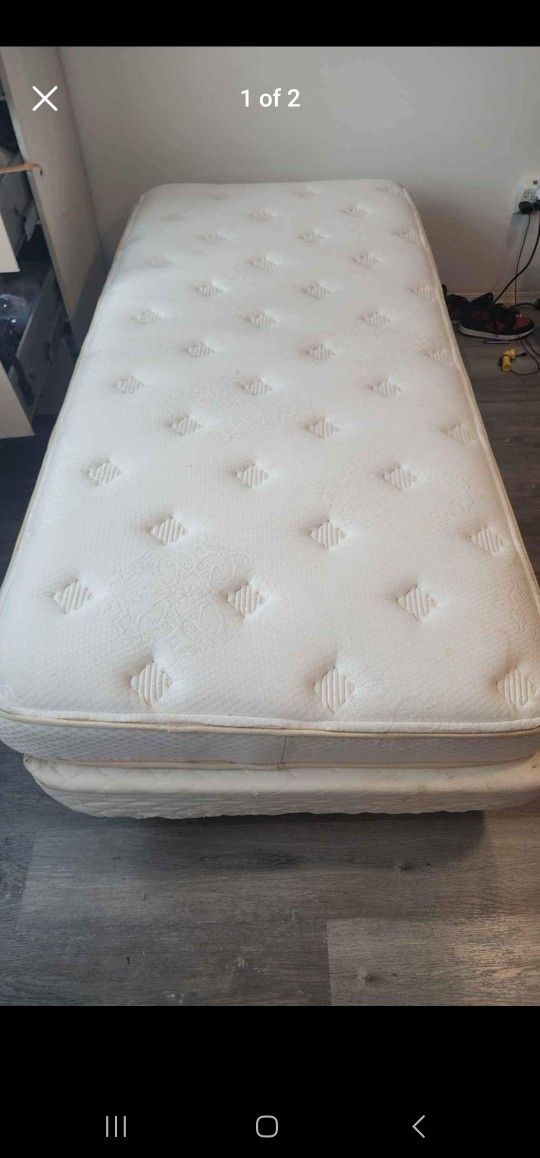 Adjustable Twin Bed 