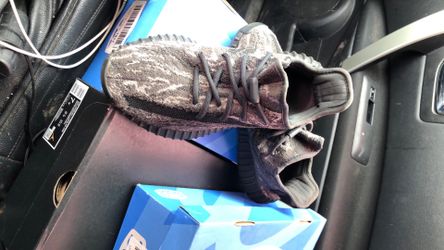 Yeezy boost 350