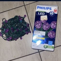 Halloween Lights or XMAS Decor Lights