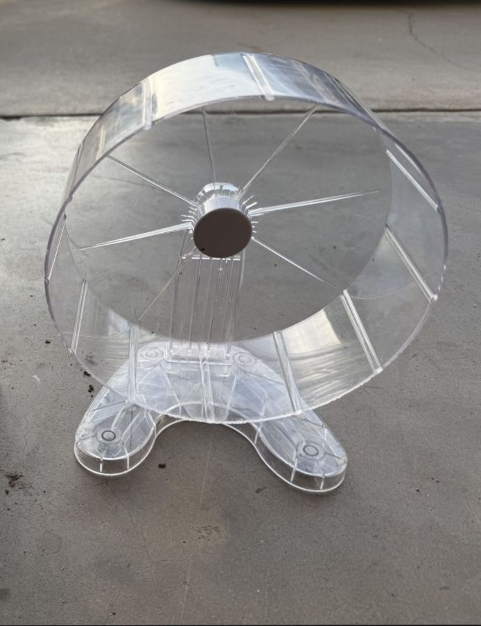 Guinea Pig Running Wheel