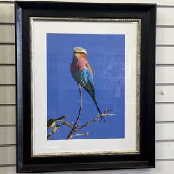 Paul Milley Colorful Bird on Branch Framed Photograph