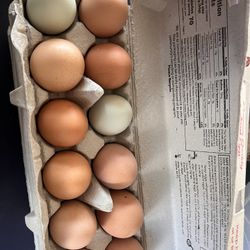 Farm Fresh Eggs