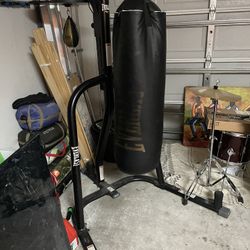 Everlast Powercore Dual Boxing Bag and Stand