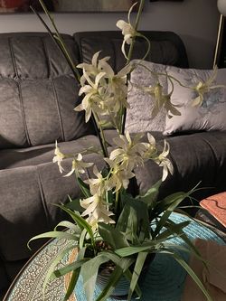 Artificial white orchid flowers 🌺 with dark brown ceramic pot 🪴