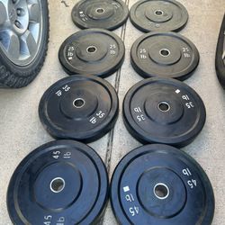 Bumper Plates 
