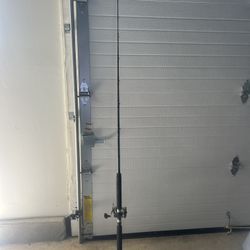 Californian 270S spinning rod 7’ And Penn Jig master  