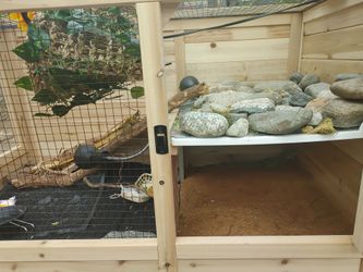 Reptile cage