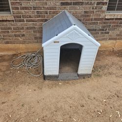 Dog House