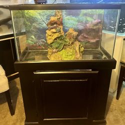 40 Gallon with Stand