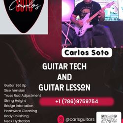 Guitar Tech And Guitar Lesson