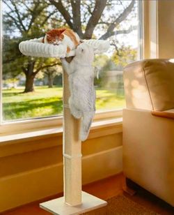 Cat Scratching Post with Large Window Perch - SnugCloud Ultra Soft Bed with Bolster,Adjustable 47"